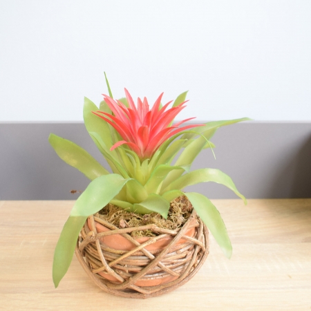 180_arranjo_de_bromelia_artificial_no_vaso_rustico_formosinha_1801_1_a72d50729e49fe18821bb51da0525f10.jpg Arranjo de Bromélia Artificial no Vaso Rústico | Distribuidor Das Flores