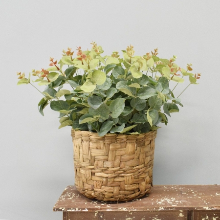180_arranjo_de_eucalipto_artificial_no_cesto_de_fibra_formosinha_1153_1_1a6118b87499866632122f23707b58e4.jpg Arranjo com Folhas de Eucalipto Artificial no Cesto Rústico 35cm | Distribuidor Das Flores