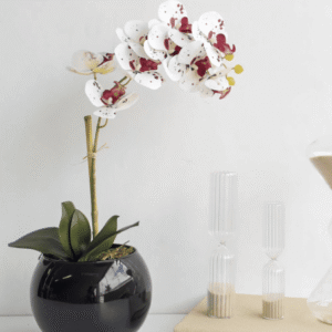 Arranjo de Flor Orquídea Artificial Tigre de Silicone no Vaso de Vidro Preto M | Distribuidor Das Flores