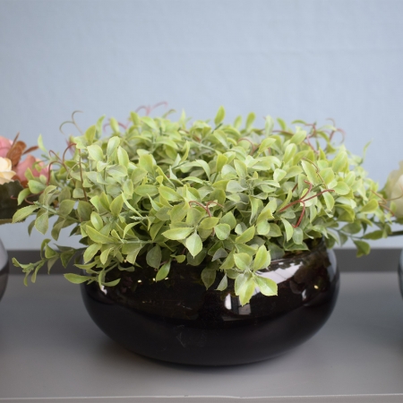 180_arranjo_de_folhagens_peperomia_no_vaso_baixo_de_vidro_linha_arranjos_de_flores_formosinha_1765_1_e90ada30dbfea6e69ad1fcb1eec2dc1d.jpg Arranjo de Folhagens Peperômia no Vaso Baixo de Vidro | Linha Arranjos de Flores Distribuidor Das Flores