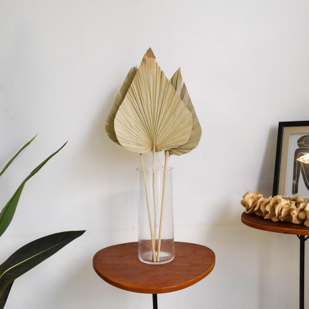 180_arranjo_de_latania_natural_desidratada_no_vaso_tubo_de_vidro_formosinha_2167_1_064e1bb72ecfb58c344a1e523f8dd966.jpg Arranjo de Latânia Natural Desidratada no Vaso Tubo de Vidro | Distribuidor Das Flores