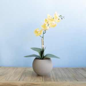 Arranjo de Orquídea Amarela de Silicone no Vaso Fendi | Distribuidor Das Flores