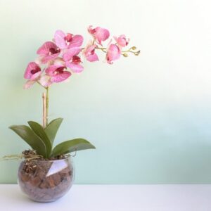 Arranjo de Orquídea Artificial Rosa no Vaso Vidro | Distribuidor Das Flores