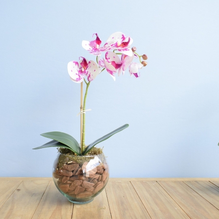 Arranjo de Orquídea Artificial Tigre no Vaso de Vidro| Distribuidor Das Flores