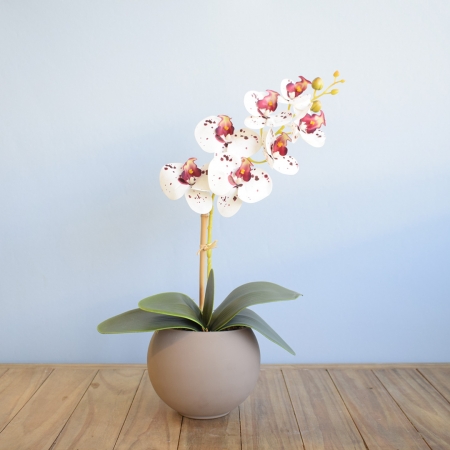 Arranjo de Orquídea de Silicone Tigre no Vaso Fendi | Distribuidor Das Flores