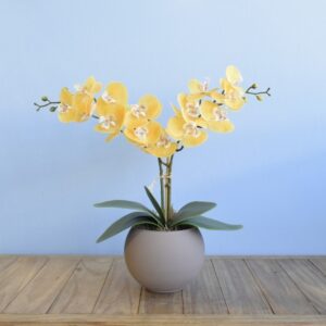 Arranjo de Orquídeas de Silicone Amarelas no Vaso Fendi | Distribuidor Das Flores