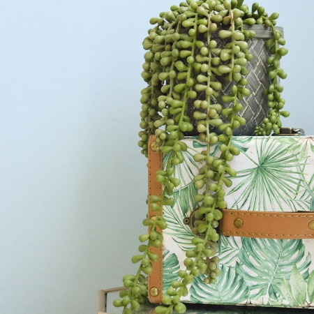 180_arranjo_de_planta_pendente_artificial_no_vaso_cimento_formosinha_1761_1_1e70d95c0e16e553f3e8041ab14af35b.jpg Arranjo de Planta Pendente Artificial no Vaso Cimento | Distribuidor Das Flores