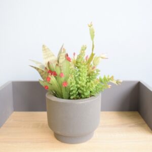 Arranjo de Suculentas Artificiais Toque Real no Vaso Cumbuca Cinza P