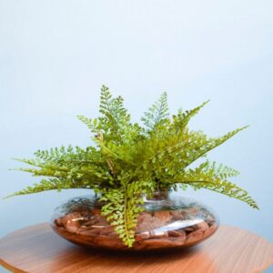 Arranjo Folhagem Artificial Avenca no Vaso Vidro Distribuidor Das Flores