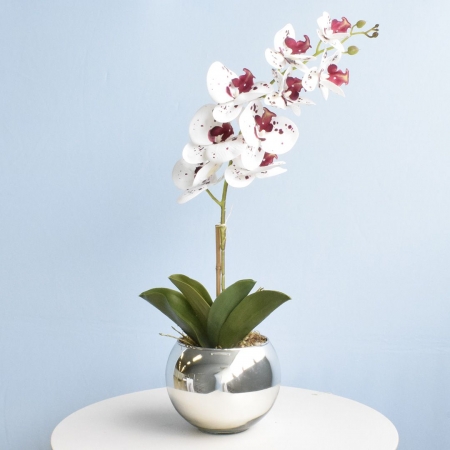 180_arranjo_orquidea_artificial_tigre_no_vaso_prateado_m_formosinha_2093_1_61ac68d2bb2179aaf447a633429495de.jpg Arranjo Orquídea Artificial Tigre no Vaso Prateado M | Distribuidor Das Flores