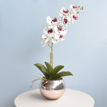 180_arranjo_orquidea_artificial_tigre_no_vaso_rose_gold_formosinha_2097_1_838a624e492eb87e9089c572362528e0.jpg Arranjo Orquídea Artificial Tigre no Vaso Rose Gold | Distribuidor Das Flores