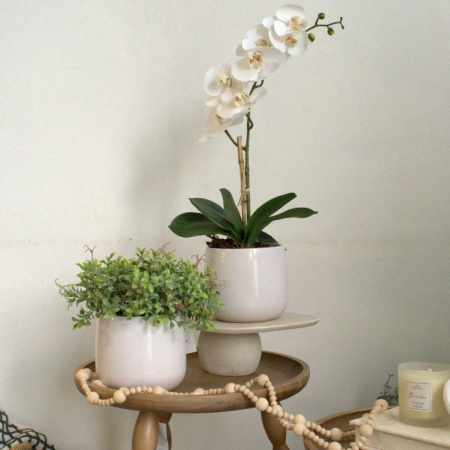 180_arranjo_orquidea_artificial_toque_real_branca_no_vaso_lorance_branco_essencia_singular_formosinha_3167_5_e0ac7f1b7e6997f8de38d61fce7d4873.jpg Arranjo Orquídea Artificial Toque Real Branca no Vaso Lorance Branco | Essência Singular Distribuidor Das Flores