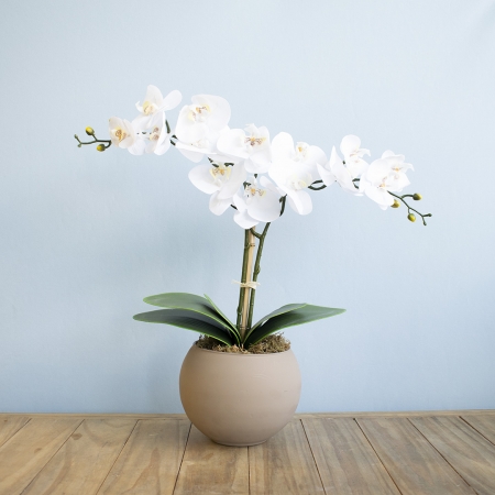 Arranjo Orquídea de Silicone Branca no Vaso Fendi | Distribuidor Das Flores