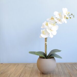 Arranjo Orquídea de Silicone Branca no Vaso M Fendi | Distribuidor Das Flores