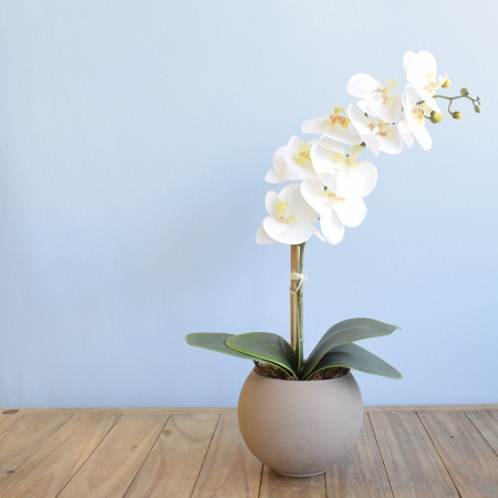 Arranjo Orquídea de Silicone Branca no Vaso M Fendi | Distribuidor Das Flores