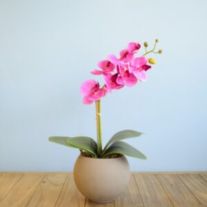 Arranjo Orquídea Pink no Vaso de Vidro M Fendi - Site