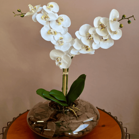 180_arranjo_orquideas_artificiais_branca_no_vaso_de_vidro_formosinha_1893_1_6669030888c10b11e73c6541ecccc730.png Arranjo Orquídeas Artificiais Branca no Vaso de Vidro | Distribuidor Das Flores