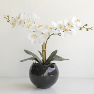 Arranjo Orquídeas Brancas Silicone no Vaso Preto | Distribuidor Das Flores