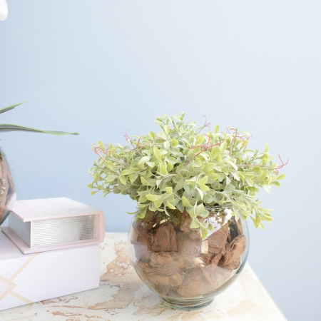 Arranjo Peperômia Artificial no Vaso de Vidro P | Distribuidor Das Flores