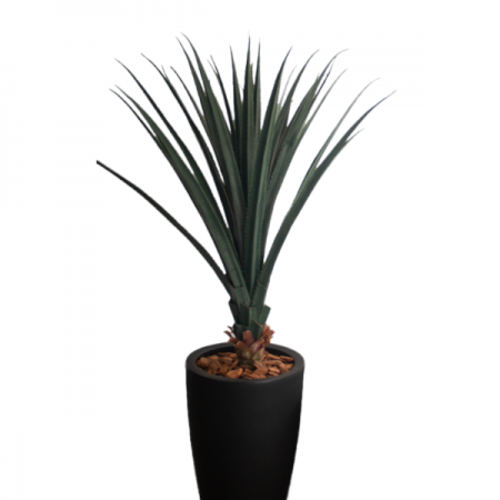 180_arvore_pandanus_realista_com_vaso_de_polietileno_preto_absoluto_formosinha_2909_1_b1e001c340b3636498b02cbbbbc8fbdb.png Árvore Pandanus Realista com Vaso de Polietileno Preto Absoluto | Distribuidor Das Flores