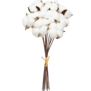 Buquê de Flor Seca de Algodão Envelhecida 35cm | Distribuidor Das Flores