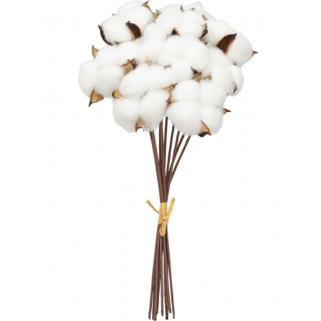 180_buque_de_flor_seca_de_algodao_envelhecida_35cm_formosinha_1175_1_12dab05e6e063e52acff1753594ddbae.jpg Buquê de Flor Seca de Algodão Envelhecida 35cm | Distribuidor Das Flores