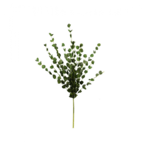 Buque Folhagem Eucalipto -58Cm | Distribuidor Das Flores