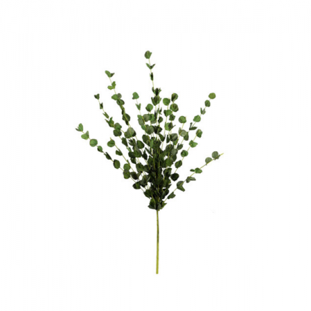 180_buque_folhagem_eucalipto_58cm_formosinha_2995_1_6a5673a1aea3124ade84f2f2f630560b.png Buque Folhagem Eucalipto -58Cm | Distribuidor Das Flores