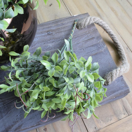 180_buque_pick_peperomia_20cm_formosinha_2979_1_411283f9393780c3c7c89850f66aa1d4.jpg Buquê de Folhagem Verde Artificial Pick Peperômia 20Cm | Distribuidor Das Flores