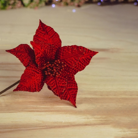 Flor Natalina Poinsetia Vermelha com Textura 25cm | Distribuidor Das Flores