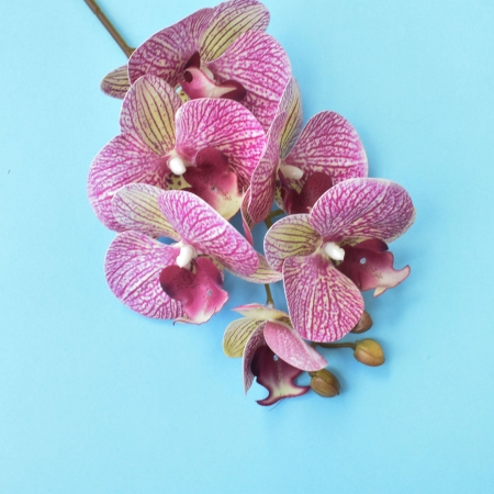 180_flores_artificiais_haste_de_orquidea_3d_rosa_formosinha_853_1_dd5956d47723e982e7657041e51e9b84.jpg Flores Artificiais Haste de Orquídea 3d Rosa | Distribuidor Das Flores