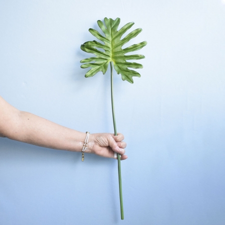 180_folha_artificial_guaimbe_formosinha_297_1_d70143c77fb443e1feb442228db8a336.jpg Folha Artificial Guaimbé | Distribuidor Das Flores