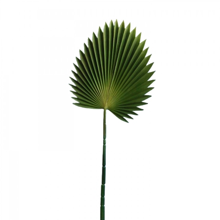 180_folha_de_latania_artificial_toque_real_linha_permanente_formosinha_245_1_14986f0501ff300de1b7c1f418a03f62.jpg Folha de Latania Artificial Toque Real | Linha Permanente Distribuidor Das Flores