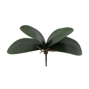 Folha de Orquídea Artificial X4 23cm