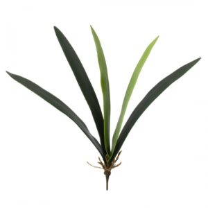 Folha de Orquídea Artificial X5 Cymbidium