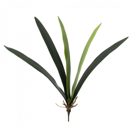 180_folha_de_orquidea_artificial_x5_cymbidium_261_1_e4a9c8636a8f05111542c7b14f4a65c3.jpg Folha de Orquídea Artificial X5 Cymbidium