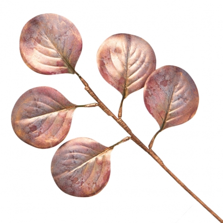 180_galho_de_folhas_de_eucalipto_envelhecido_com_dourado_43cm_natal_encantado_formosinha_1083_1_e18514f0b95b35f4eeeb08b58eca060c.jpg Galho de Folhas de Eucalipto Envelhecido com Dourado 43cm | Natal Encantado Distribuidor Das Flores