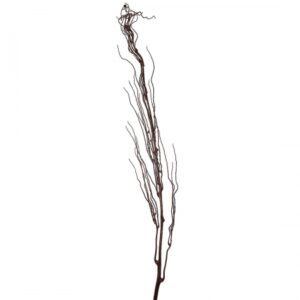 Galho Rabo de Elefante Grande Desidratado | Linha Outonada Distribuidor Das Flores