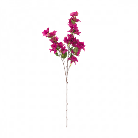 180_haste_bougainvillea_pink_1_10m_formosinha_2997_1_d434e8e90433aface9bce051f70b7194.png Haste de Flor Artificial Bougainville Primavera Pink - 1.10M | Distribuidor Das Flores