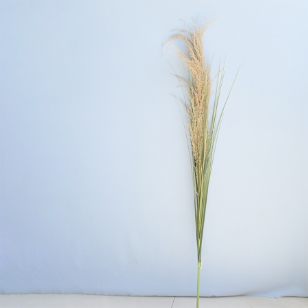 180_haste_de_capim_chorao_preservado_artificial_789_1_917efdddb52bc2c90a7fc6f796039e6a.jpg Haste de Capim Chorão Preservado Artificial