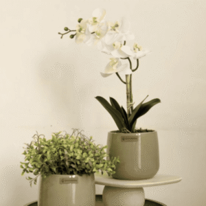Arranjo Orquídea Toque Real Branca no Vaso Bretagne Menta | Essência Singular Distribuidor Das Flores