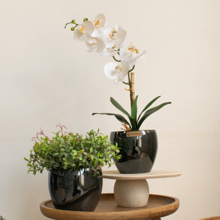 Arranjo de Orquídea Toque Real Branca no Vaso Lorance Chumbo | Essência Singular Distribuidor Das Flores