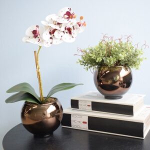 Kit com 2 Arranjos: Orquídea Tigre + Peperomia no Vaso P Bronze | Distribuidor Das Flores