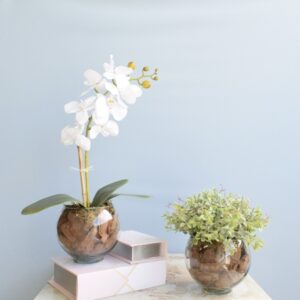Kit com 2 Arranjos Orquídea Artificial Branca + Peperômia no Vaso de Vidro | Distribuidor Das Flores