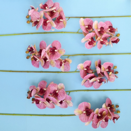 180_kit_com_doze_unidades_de_orquidea_artificial_rosa_3d_formosinha_825_1_94a74b55a2c35ed7063b9f9880da5478.jpg Kit com Doze Unidades de Orquídea Artificial Rosa 3d| Distribuidor Das Flores