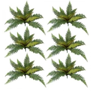 Kit com Seis Samambaias Toque Natural | Distribuidor Das Flores