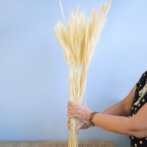 Maço de Trigo Envelhecido Seco Grande Natural | Distribuidor Das Flores