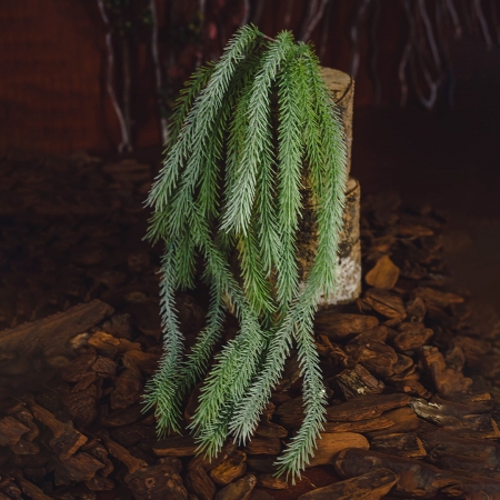 Pendente Toque Real Grass 76 Cm| Jardim Vertical Distribuidor Das Flores