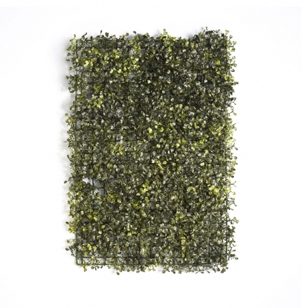 180_placa_de_grama_artificial_60x40_para_jardim_vertical_formosinha_225_1_0e1dafbf0af47595dcd6e5e677dc98ff.jpg Placa de Grama Artificial 60x40 para Jardim Vertical | Distribuidor Das Flores