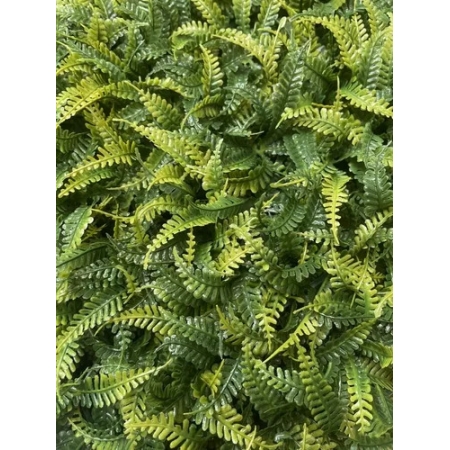 180_tapete_de_grama_samambaia_60x40cm_formosinha_2707_1_e2ba751fc97765b42e4418db7191c97d.jpg Tapete de Grama Samambaia 60x40cm | Distribuidor Das Flores